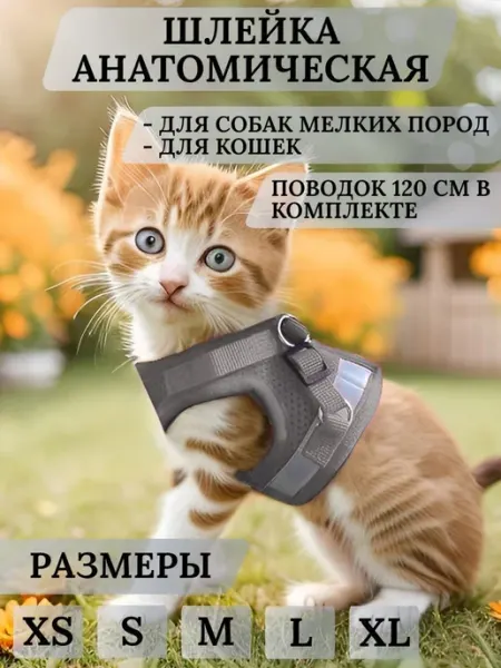 Прогулочная шлейка с поводком для собак и кошек размер S