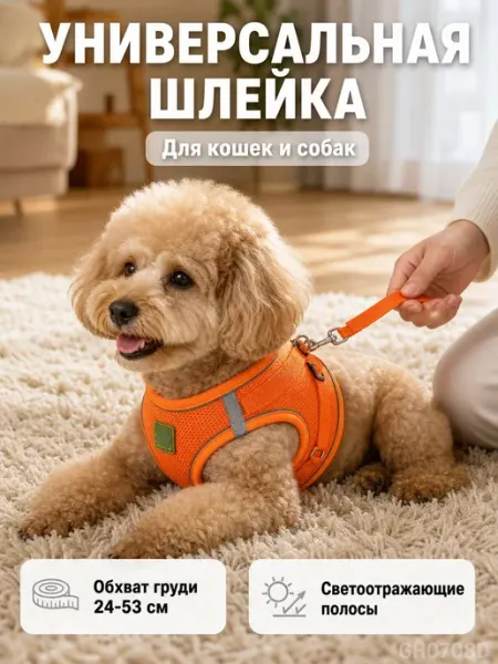 Универсальная шлейка с поводком для кошек и собак размеров