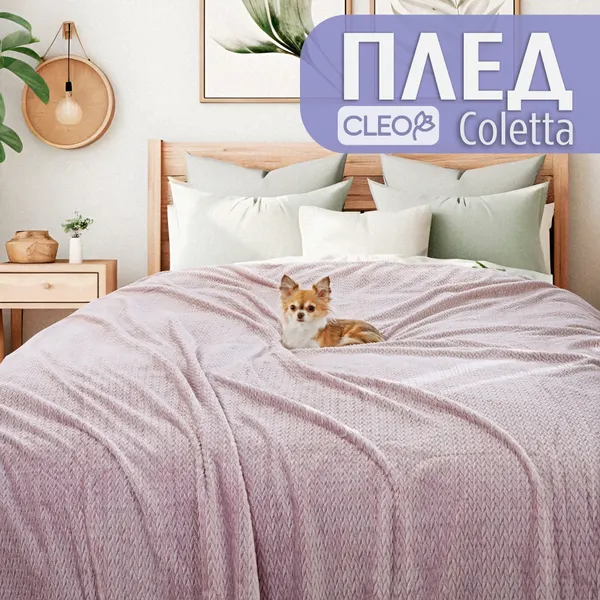 Плед 2-спальный 180х200 однотонный розовый, покрывало на кровать и диван Cleo Coletta, велсофт