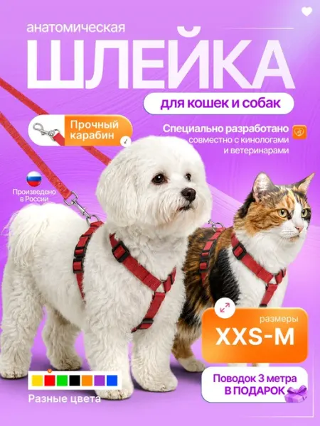 Анатомическая шлейка с длинным поводком для мелких