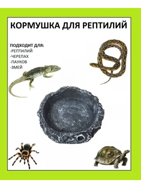 The home Кормушка для террариума и аквариума