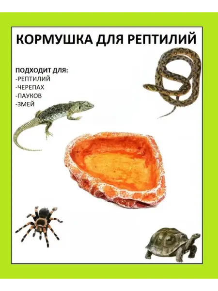 The home Кормушка поилка для рептилий для террариума клетки аквариума