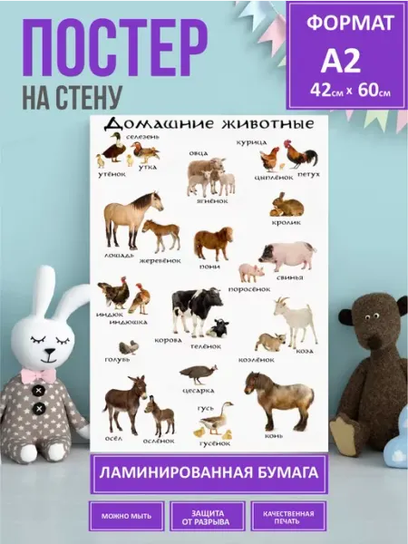 LMS Home Домашние животные плакат учим слова для детей