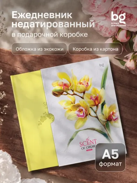 Ежедневник недатированный А5 в подарочной коробке-кассете BG