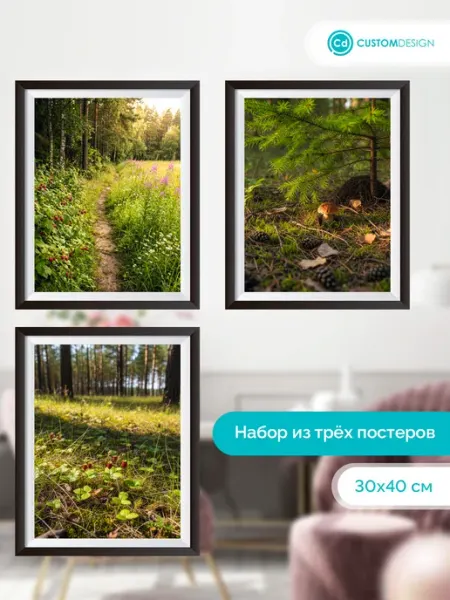 Комплект постеров без рамы Природа 3 штуки Кастом Дизайн