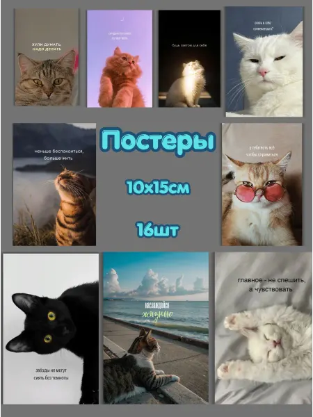 Постеры карточки с котиками мотивирующие надписи