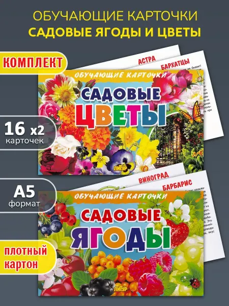 ЛитУр Обучающие карточки Садовые цветы и ягоды