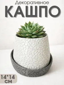 Горшок для суккулентов,с поддоном, 14*14 см, кашпо для маленьких цветов, пластик
