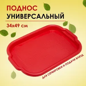 Поднос пластиковый с ручками АР-Пласт 34х49 см прямоугольный, красный