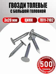 Гвозди с большой плоской головкой 3х20 мм оцинкованные 7811-7102 (500 грамм)