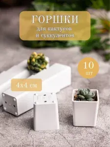 Пластиковые горшки для суккулентов и кактусов 4 см/Garden Emili/10 шт