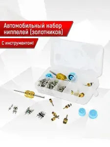 Набор ниппелей (золотников) 6 видов, 60 шт., для сервисных заправочных портов автомобильных кондиционеров и авторефрижераторов.. Ричмарк