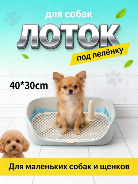 Лоток для собак под пеленку в квартиру