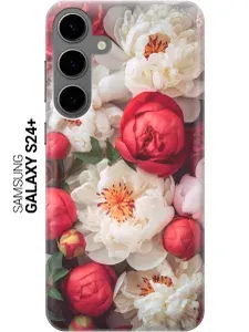 Силиконовый чехол на Samsung Galaxy S24+ / Самсунг С24 Плюс с рисунком "Красно-белые пионы"
