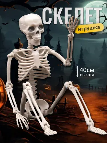 Скелет человека, Скелет игрушка, Хэллоуин