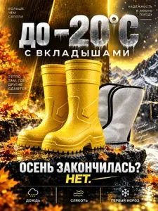 Сапоги резиновые Колесник