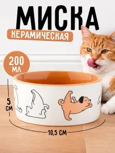 Миска для кошек керамическая "Фитнес пёсики" , 200 мл