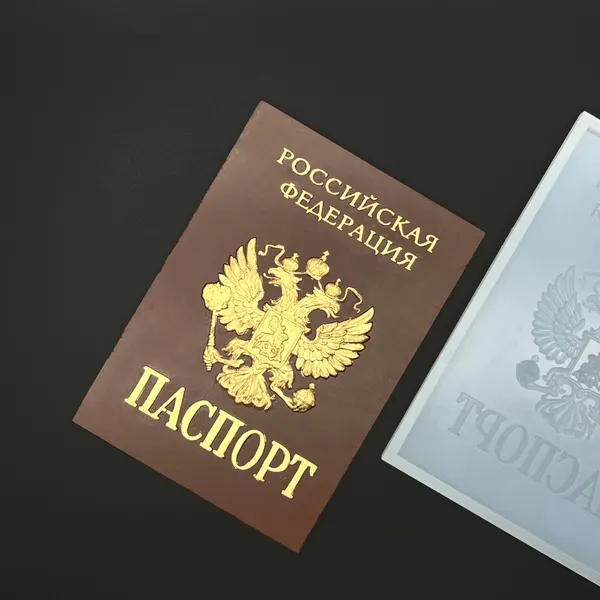 Силиконовая форма молд для шоколада Паспорт