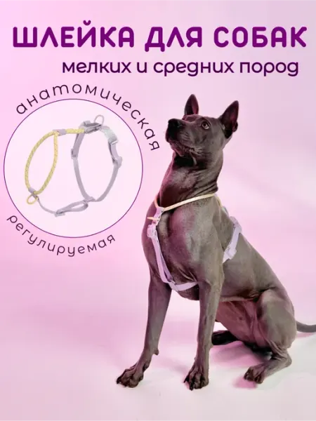 Шлейка для собак мелких и средних пород LapLap