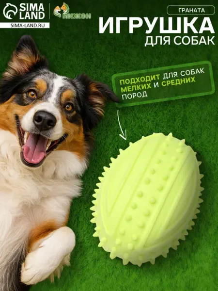 Игрушка жевательная "Граната", TPR салатовая Market_ZOO