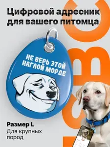 Адресник для собак средних и крупных пород от ISBC с NFC и QR-кодом "Наглая морда собаки"