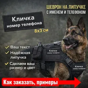 Шеврон для собаки кличка и номер телефона на заказ