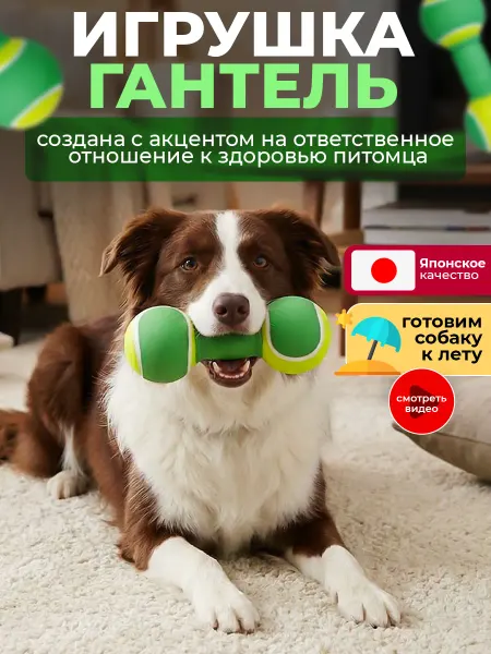 Japan Premium Pet Игрушка для собак латексная