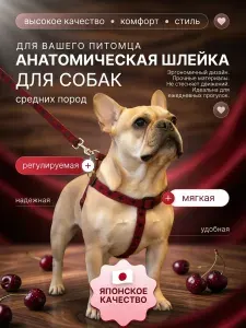 Анатомическая шлейка для собак Japan Premium Pet с силиконовым креплением, размер M