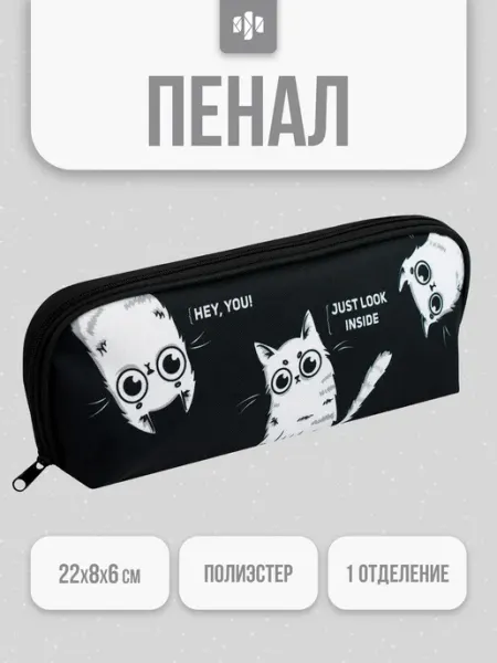 Пенал школьный 22х8х6 см из полиэстера Феникс+