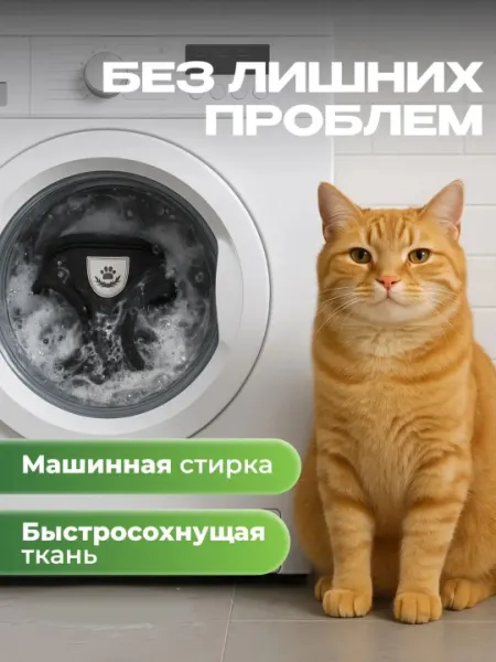 Шлейка для собак и кошек с поводком, жилет дышащий - Амуниция для собак