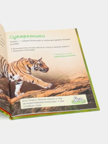 Тигры. Энциклопедия для малышей—Джеймс Маклейн | Познавательная книга о животных для детей - Познавательная литература