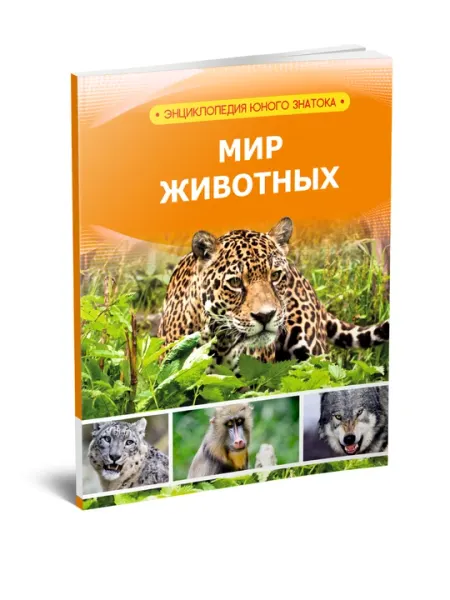 Животный мир Энциклопедия юного исследователя - Познавательная литература
