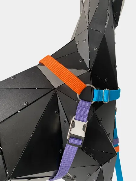 Комплект из поводка и шлейки для собак JimiPet
