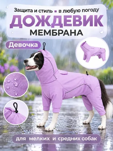 Дождевик-комбинезон для собаки с капюшоном