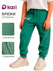 Брюки джоггеры KariKids спортивные для мальчика утепленные