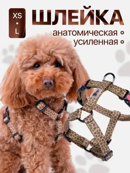 Шлейка для собак анатомическая KINGDOM pets