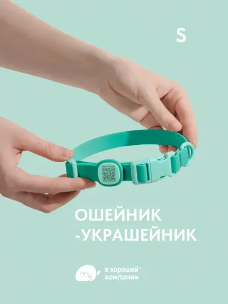 Ошейник для собак мелких пород (S) IN GOOD COMPANY