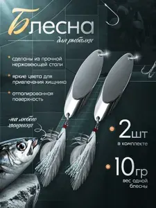 Блесна для рыбалки kastmaster на жереха щуку 10 гр 2 шт серебро