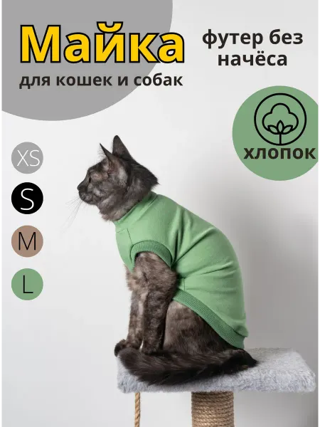 KenkaCat Футболка для кошек футер двунитка без начеса