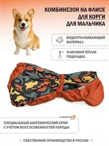 Комбинезон на флисовой подкладке для корги, для мальчика