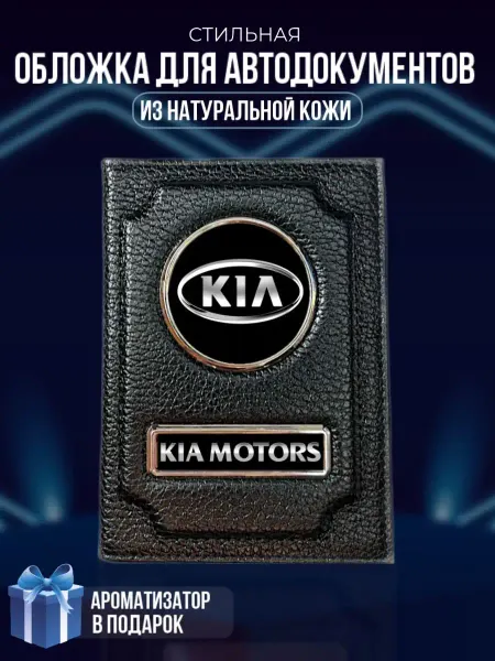 LioNN Обложка на паспорт и для автодокументов Kia