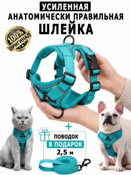 KINGDOM pets Шлейка для собак и кошек мелких и средних пород c поводком
