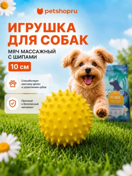 Игрушка для собак Массажный мяч с шипами, 10 см Tappi PetShop