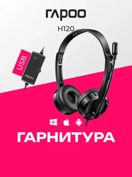 Наушники проводные H120 Black Rapoo