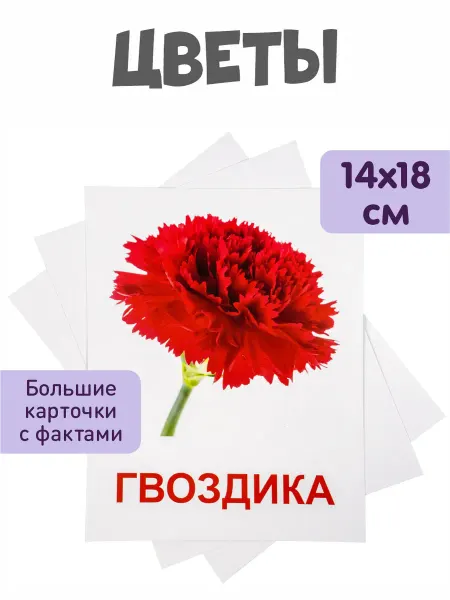 KoroBoom Обучающие карточки Домана "Цветы" Всезнайка