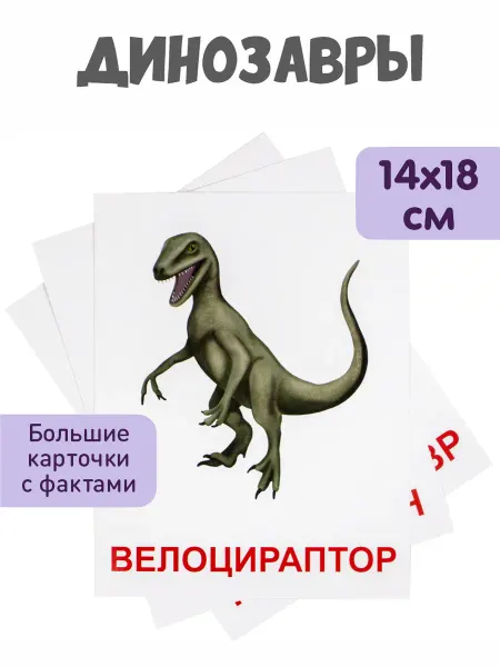 KoroBoom Обучающие карточки Домана "Динозавры" Всезнайка