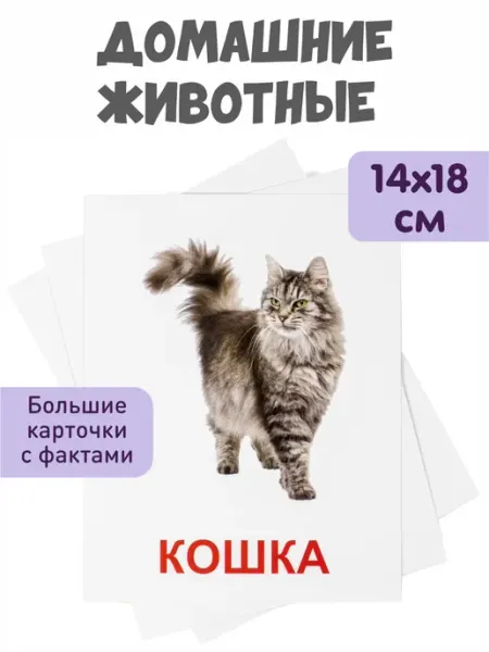 KoroBoom Обучающие карточки Домана "Домашние животные" Всезнайка