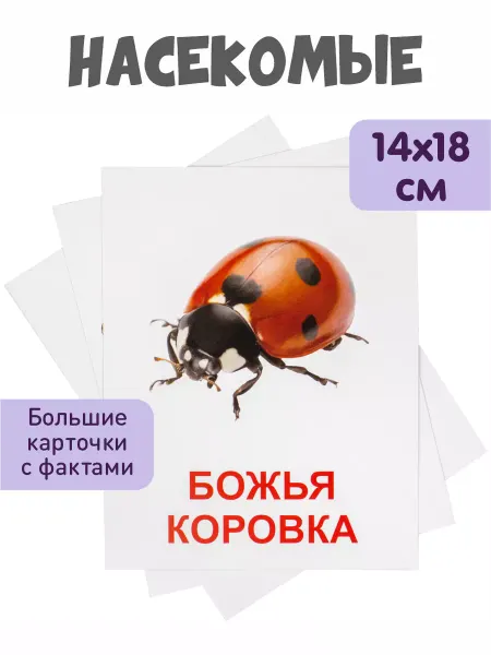 KoroBoom Обучающие карточки Домана "Насекомые" Всезнайка