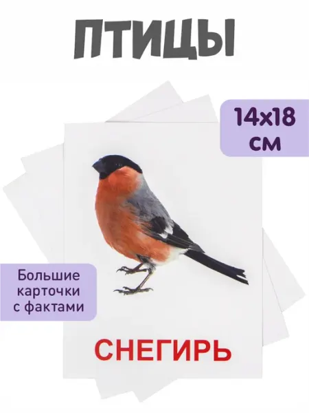 KoroBoom Обучающие карточки Домана "Птицы" Всезнайка