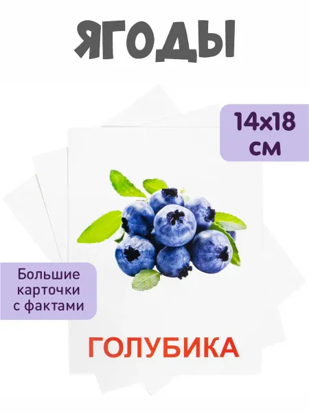 KoroBoom Обучающие карточки Домана "Ягоды" Всезнайка